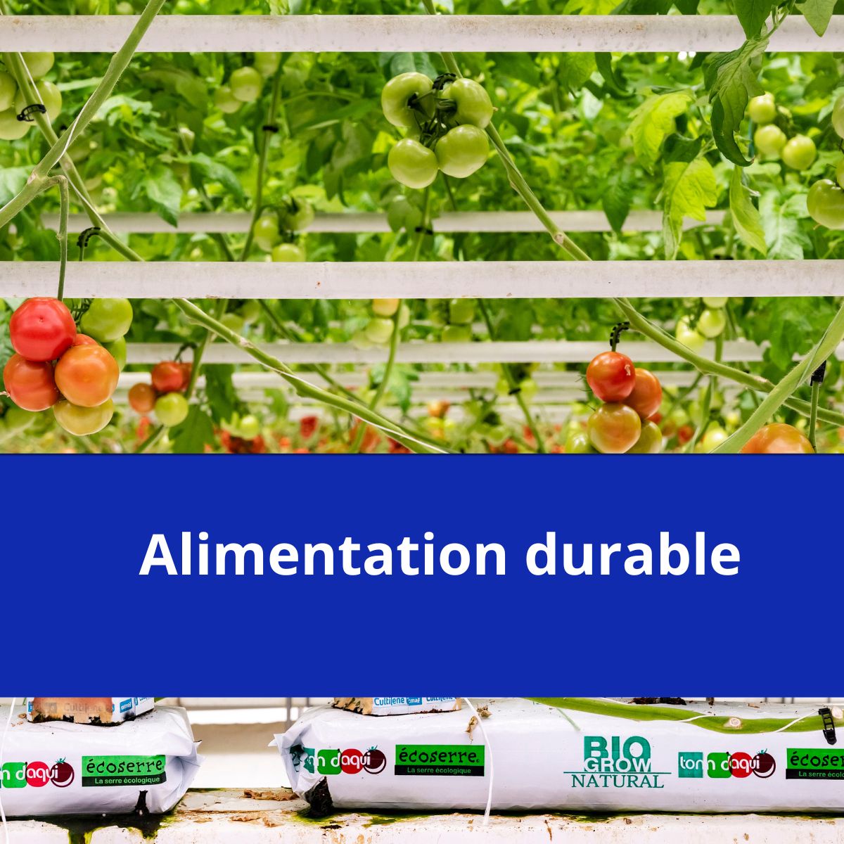 Alimentation durable