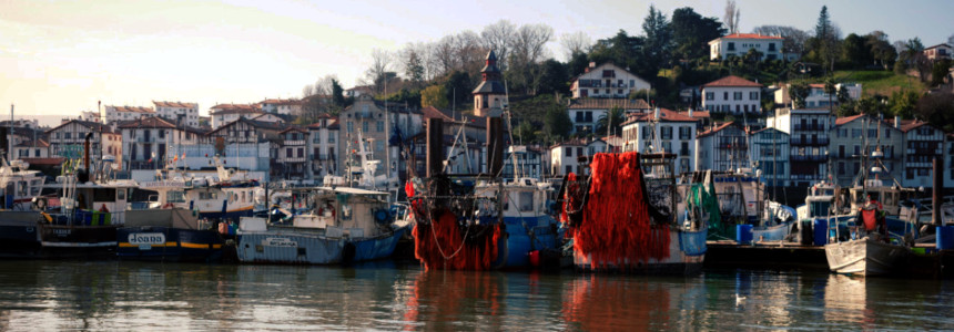 © Région Nouvelle-Aquitaine-Olivier Panier des Touches
