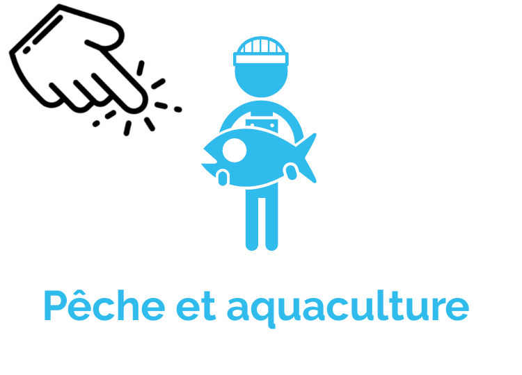 Pêche et aquaculture