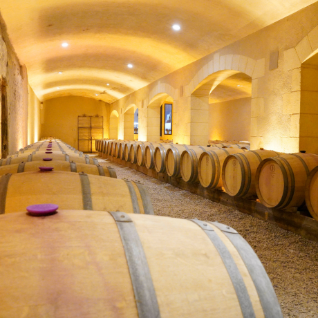 © Région Nouvelle-Aquitaine  Sébastien Blanquet-Riviere