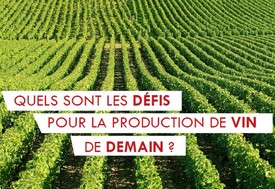 © Région Nouvelle-Aquitaine Bruxelles