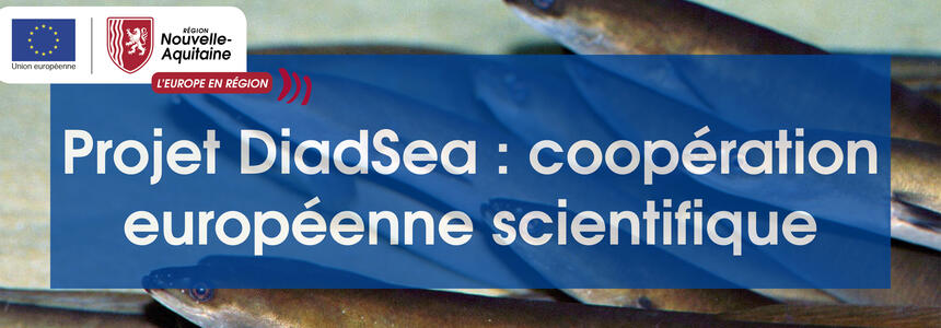 Projet_DiadSea_Bandeau Projet de coopération européenne en Nouvelle-Aquitaine, DiadSea