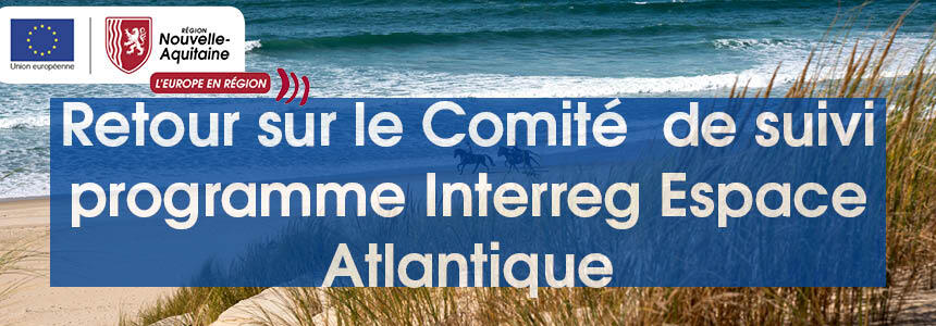 Comité de suivi du programme Interreg Espace Atlantique Comité de suivi du programme Interreg Espace Atlantique