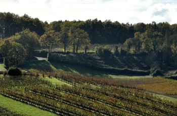 ©Région Nouvelle-Aquitaine -Francoise Roch