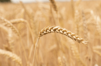 ©Région Nouvelle-Aquitaine - Sébastien Blanquet-Riviere